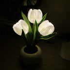 Luminária LED Tulipa Decorativa Luz Noturna para Quarto e Sala